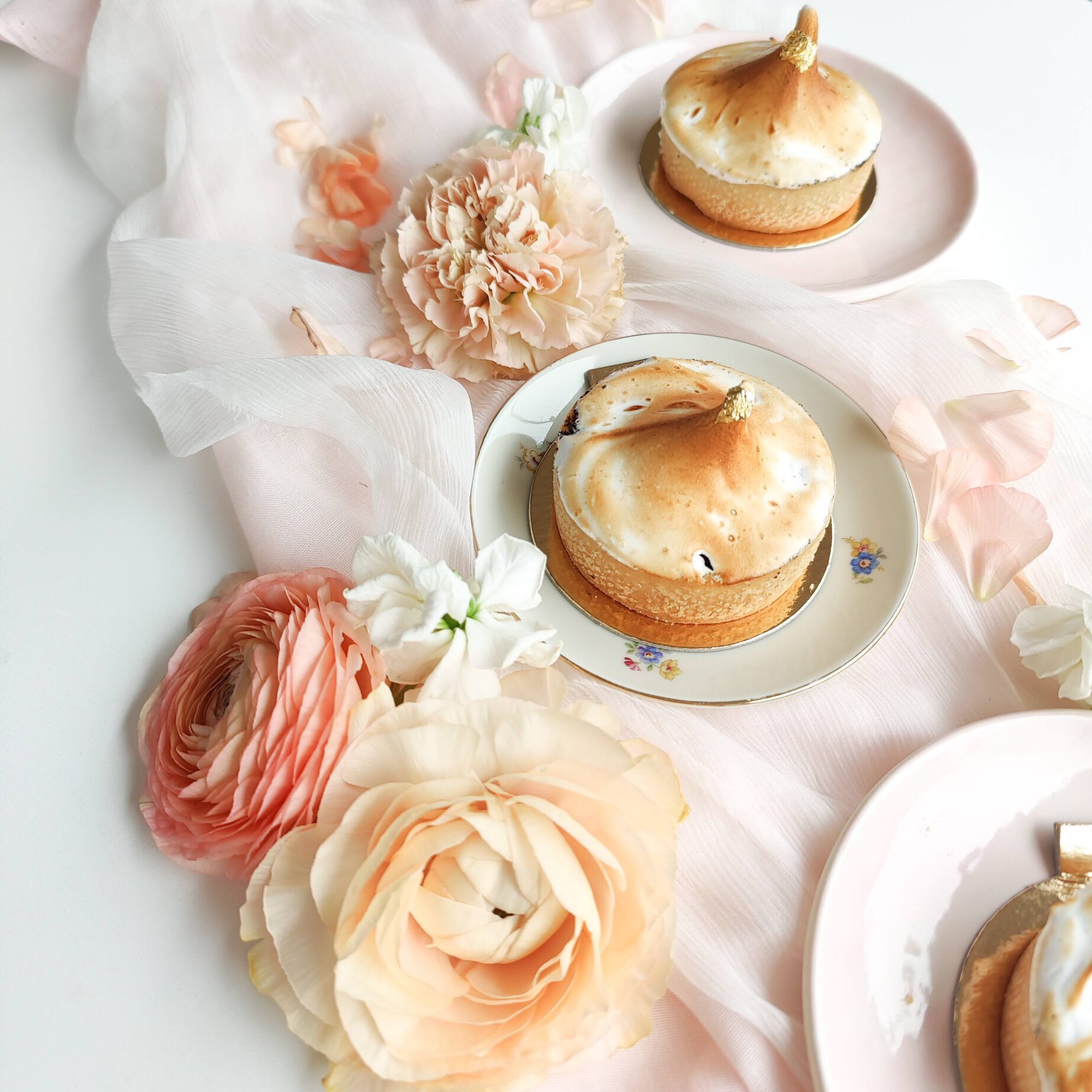 IMG_20230212_122228 (1)