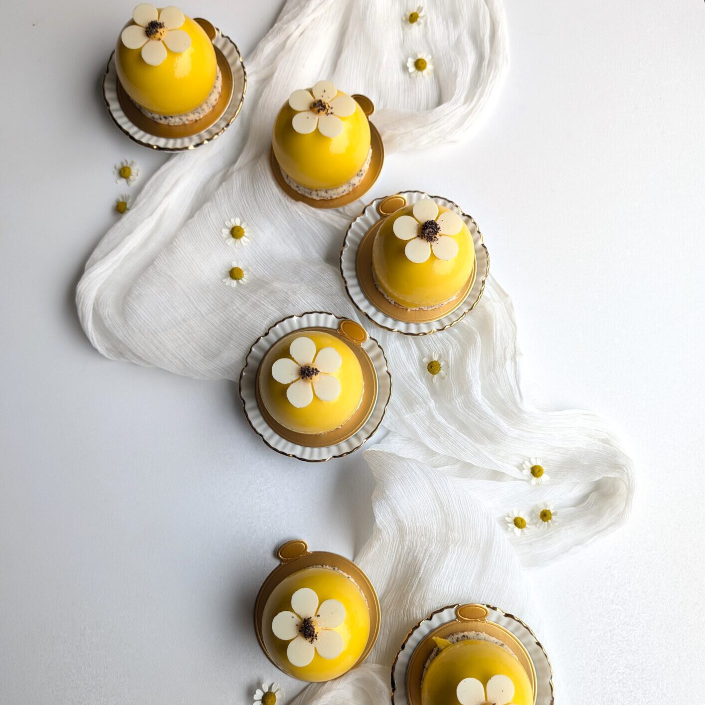 PXL_20250727_090446708